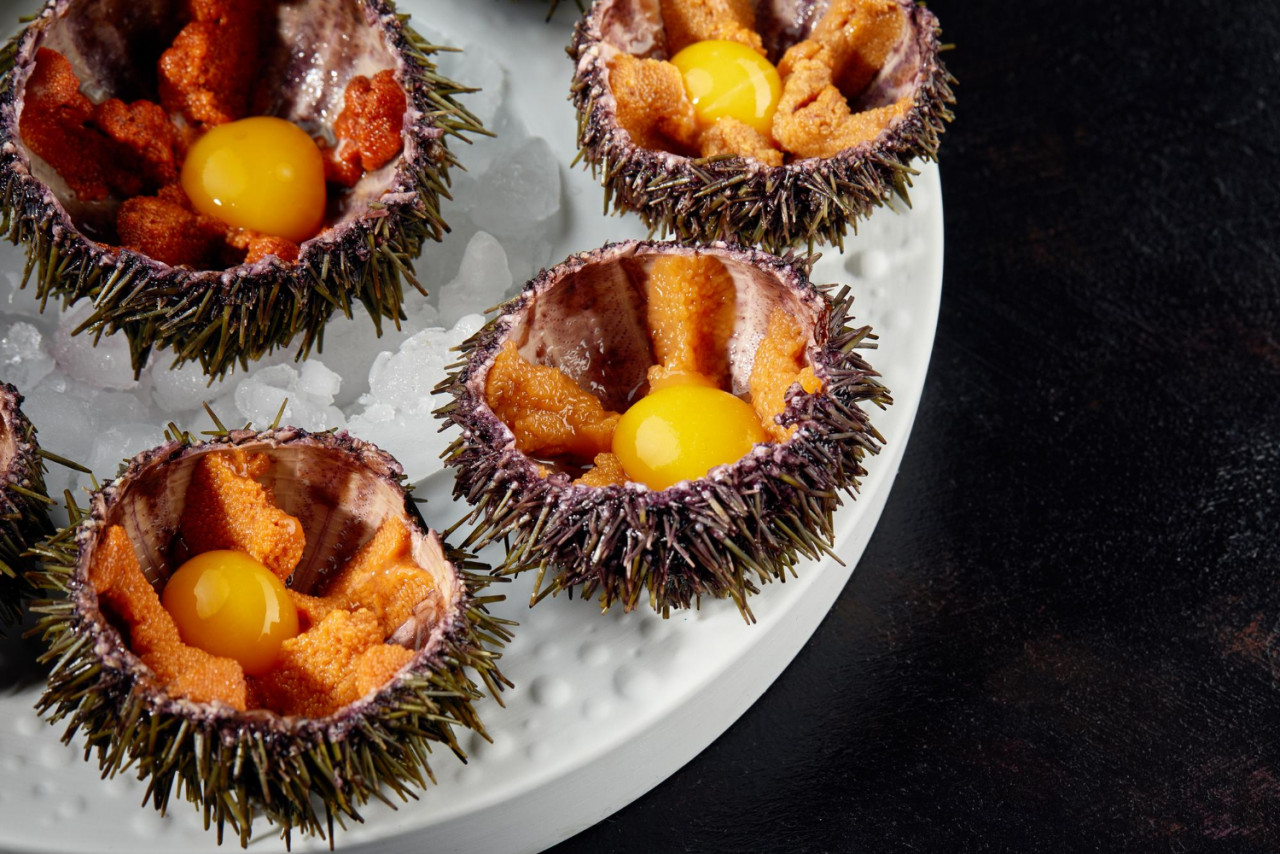 sea urchins ceramic bowl with ice sea urchin dish with quail egg soy sauce