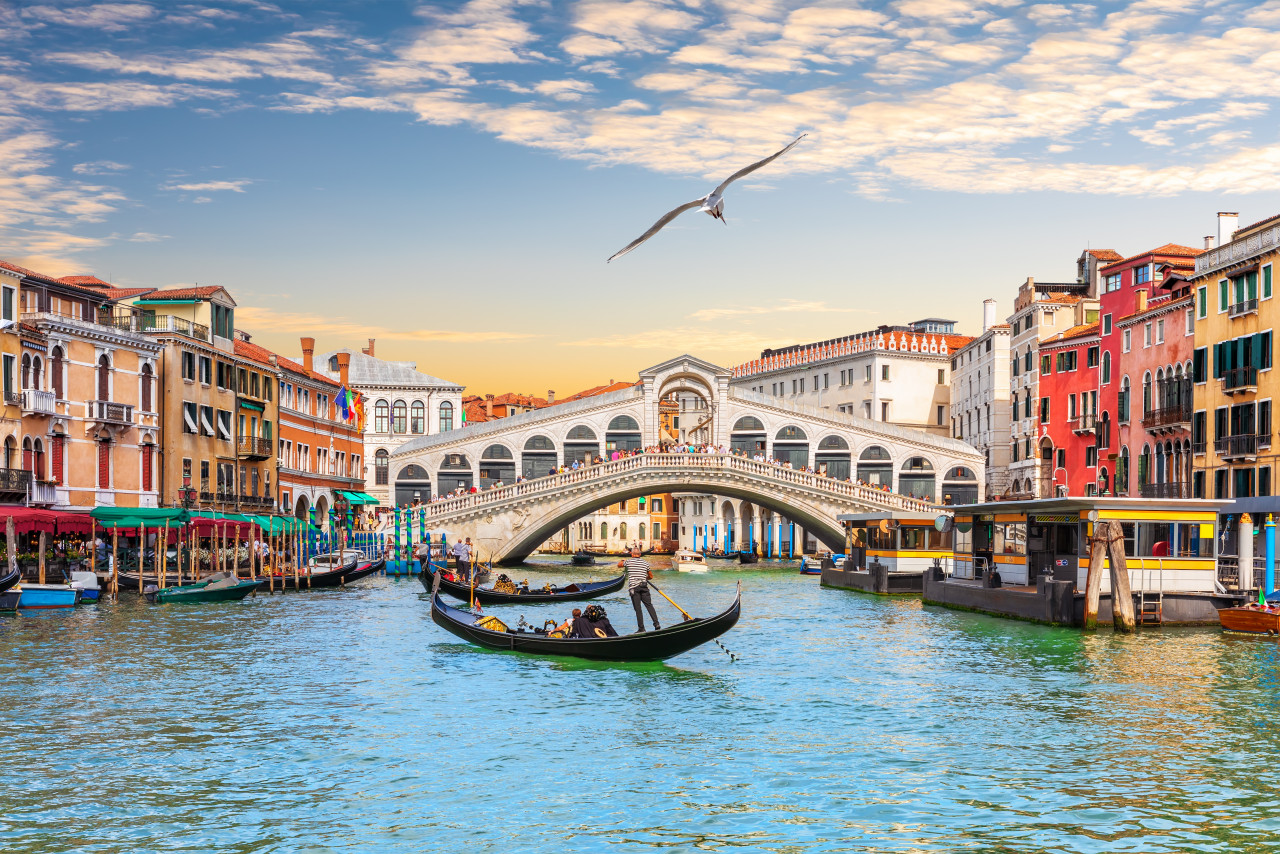 seagull flies by rialto bridge popular landmark venice italy