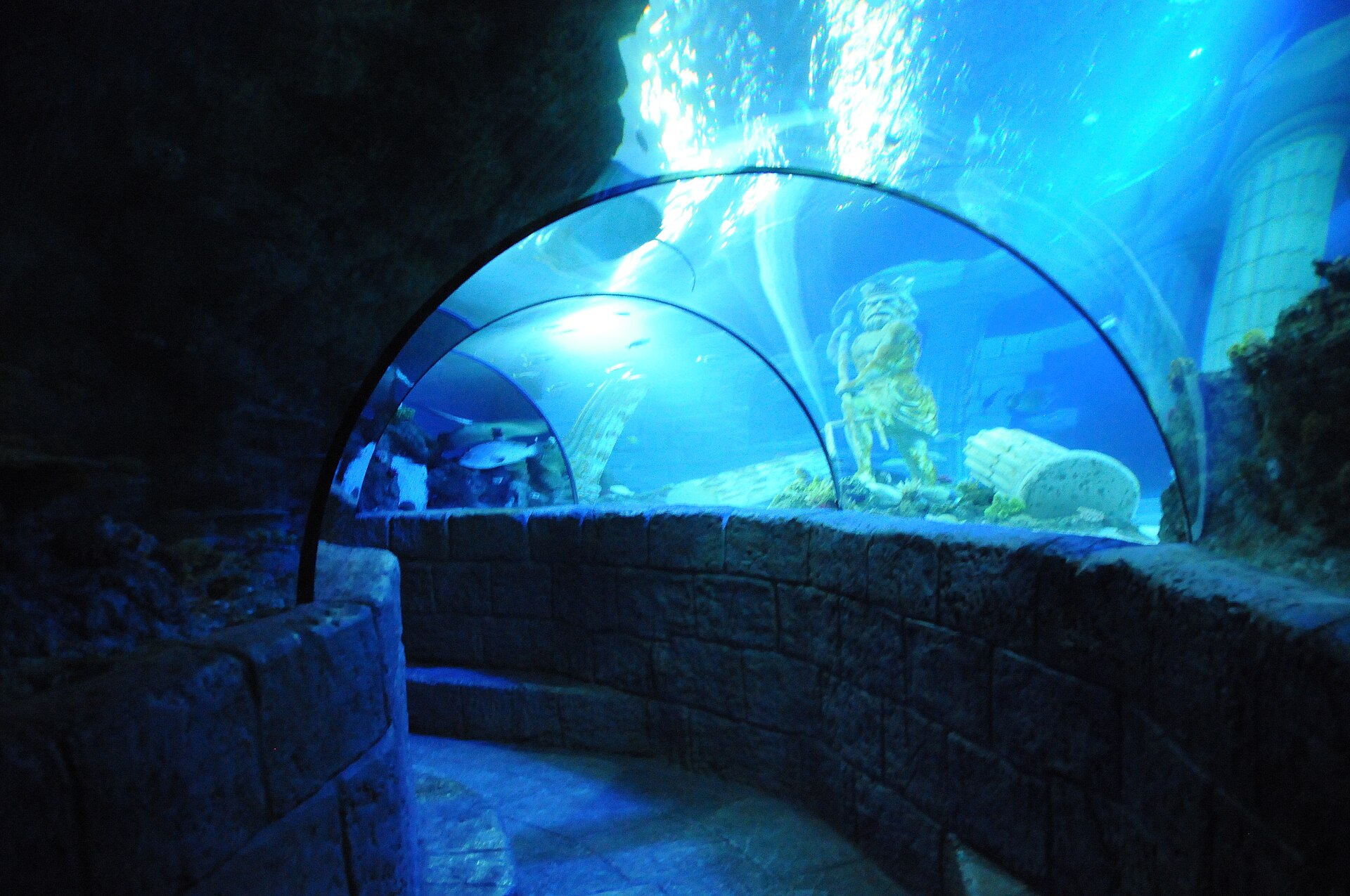 Acquario SEA Life Porto con tunnel subacqueo