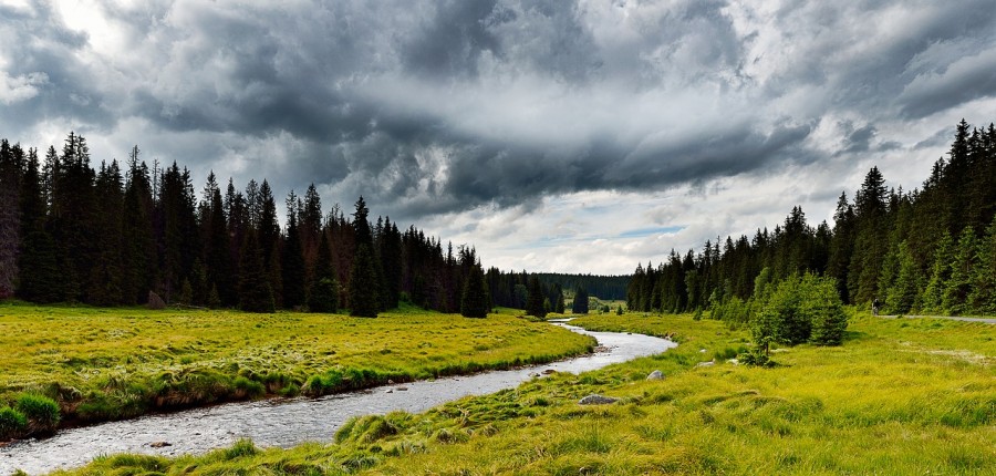 selva boema natura ruscello baia 1