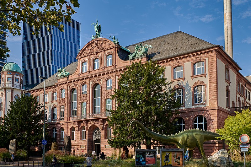 senckenberg museum frankfurt am main