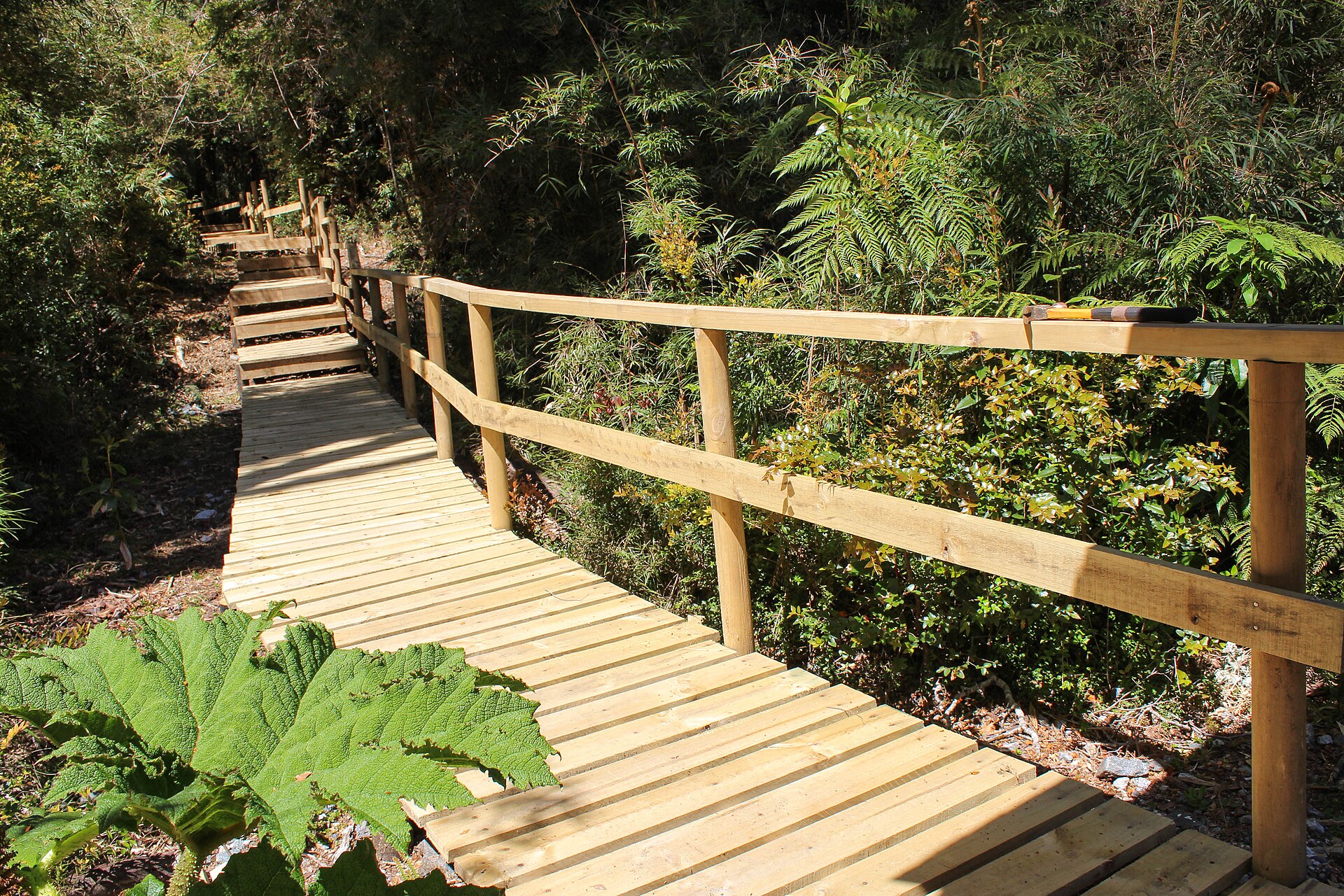 gran abueloparque alerce costero