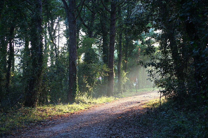 sentiero del parco del circeo