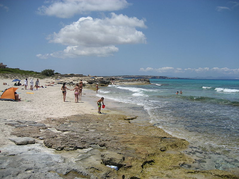 ses platgetes 1
