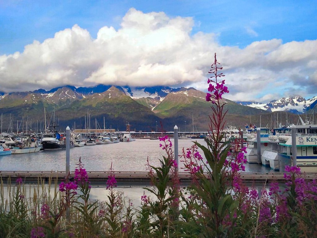 seward alaska harbor
