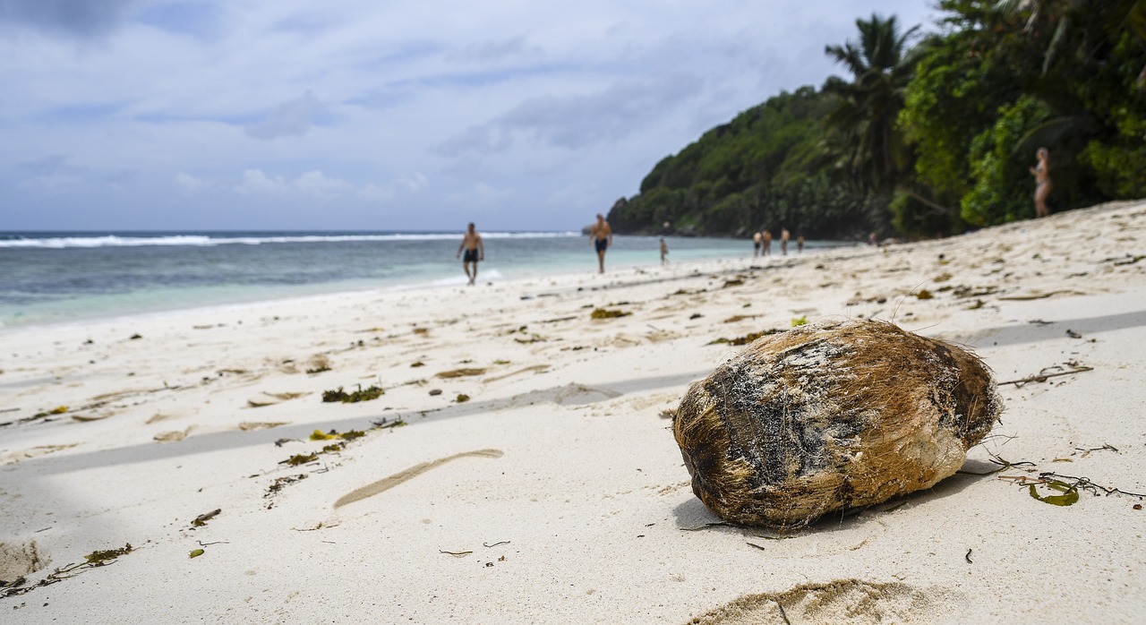 seychelles spiaggia lungomare