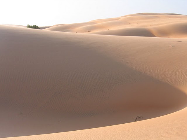 shade playing on dunes in desert lompoul senegal