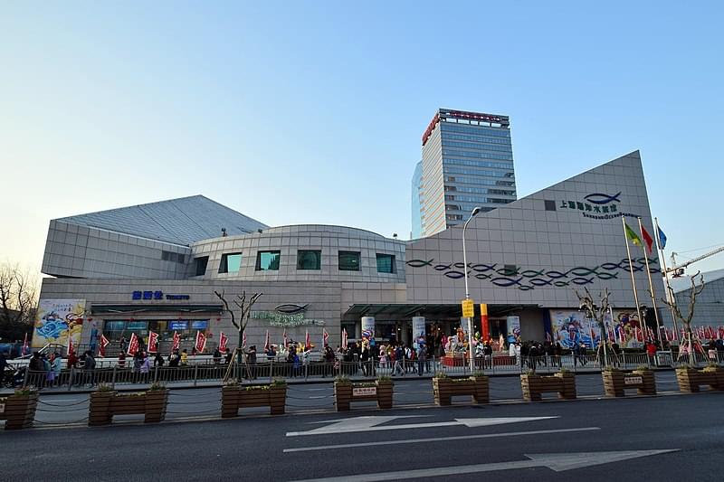 shanghai ocean aquarium 1