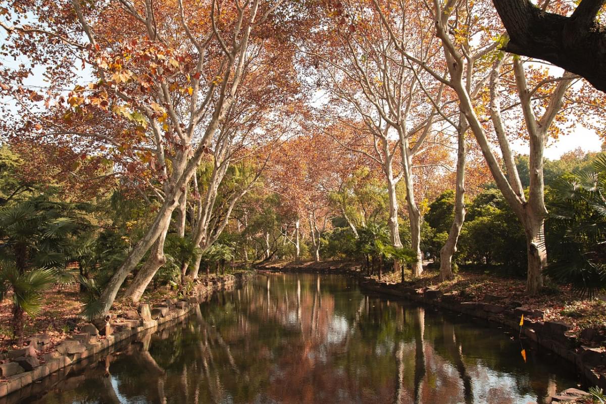 shanghai zoo autunno animale fiume