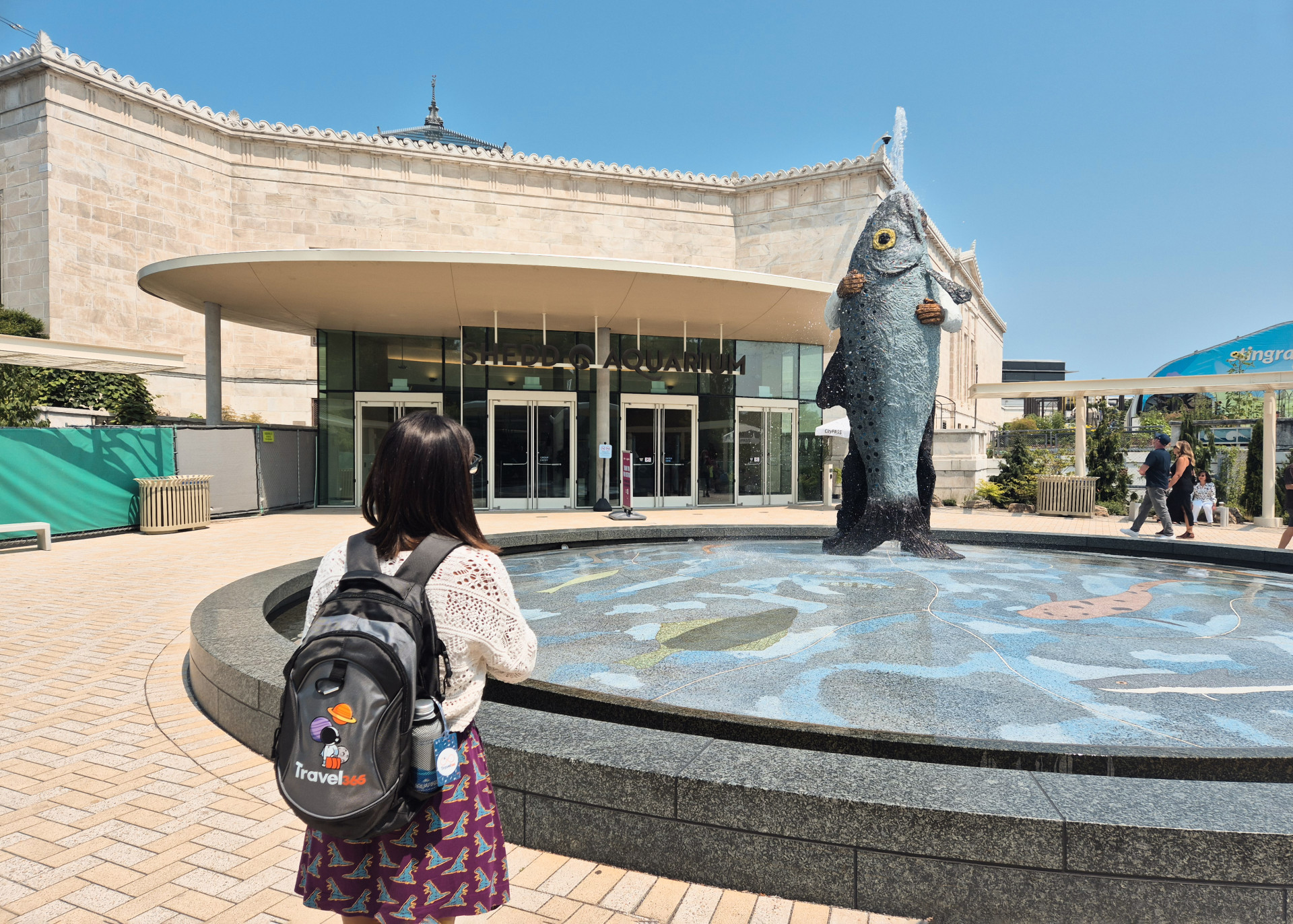 shedd aquarium