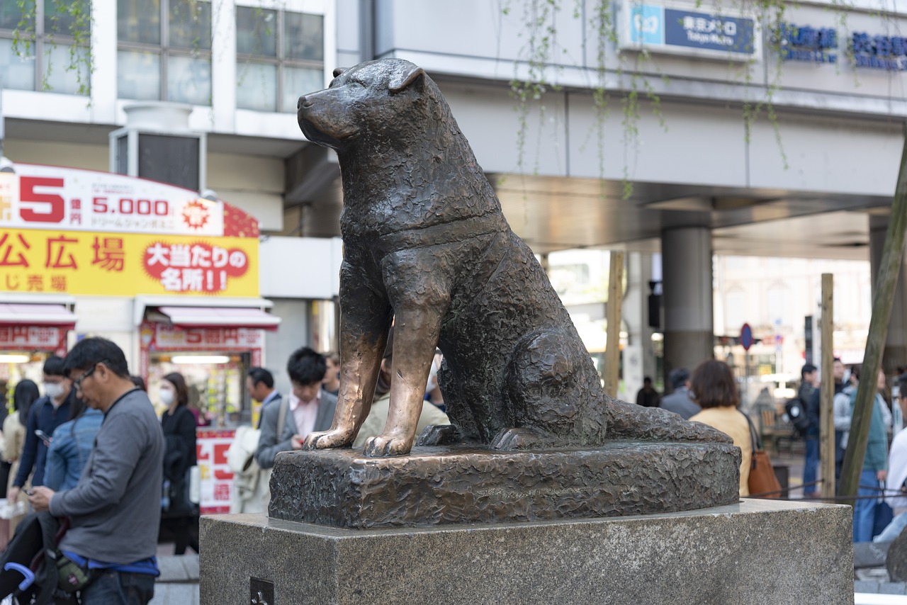 shibuya statua hachiko tokyo