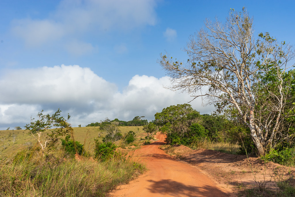 shimba hills kenya
