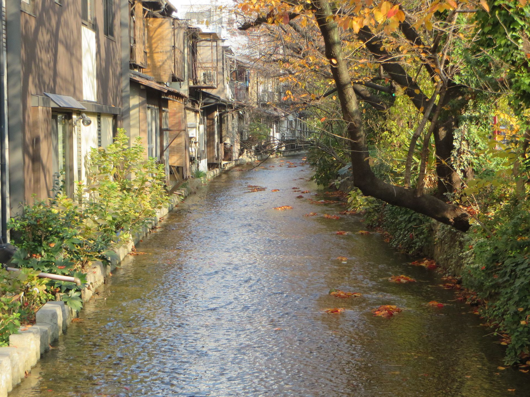 shimogyo ward kyoto kyoto prefecture japan panoramio 13