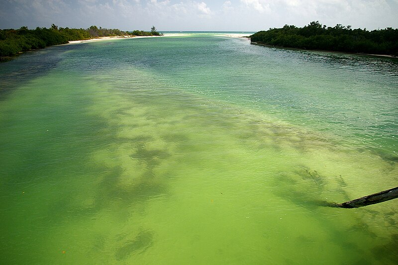 sian ka an biosphere reserve