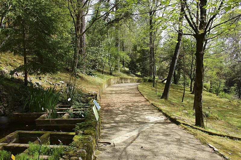 siena orto botanico