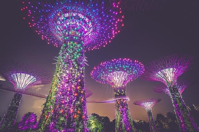 singapore gardens by the bay