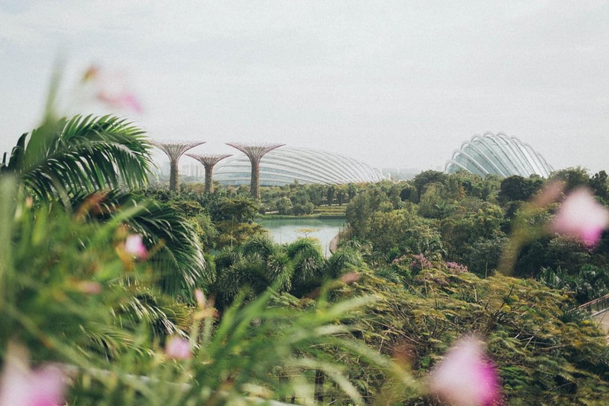 singapore gardens by the bay