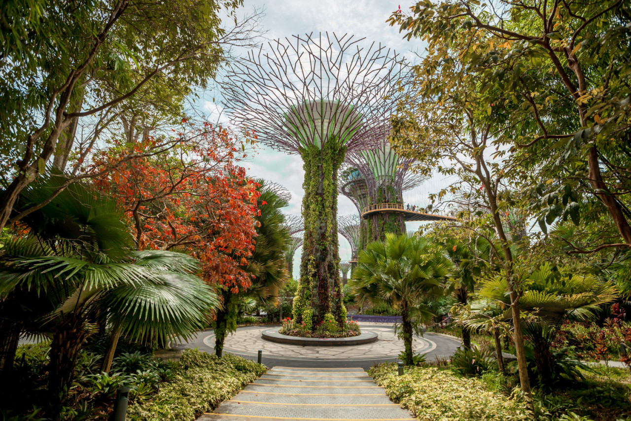 singapore gardens by the bay