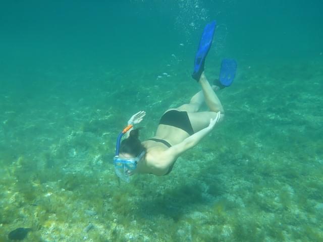 snorkeling