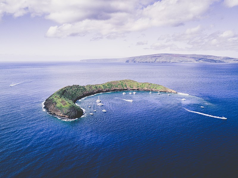 snorkeling in molokini unsplash