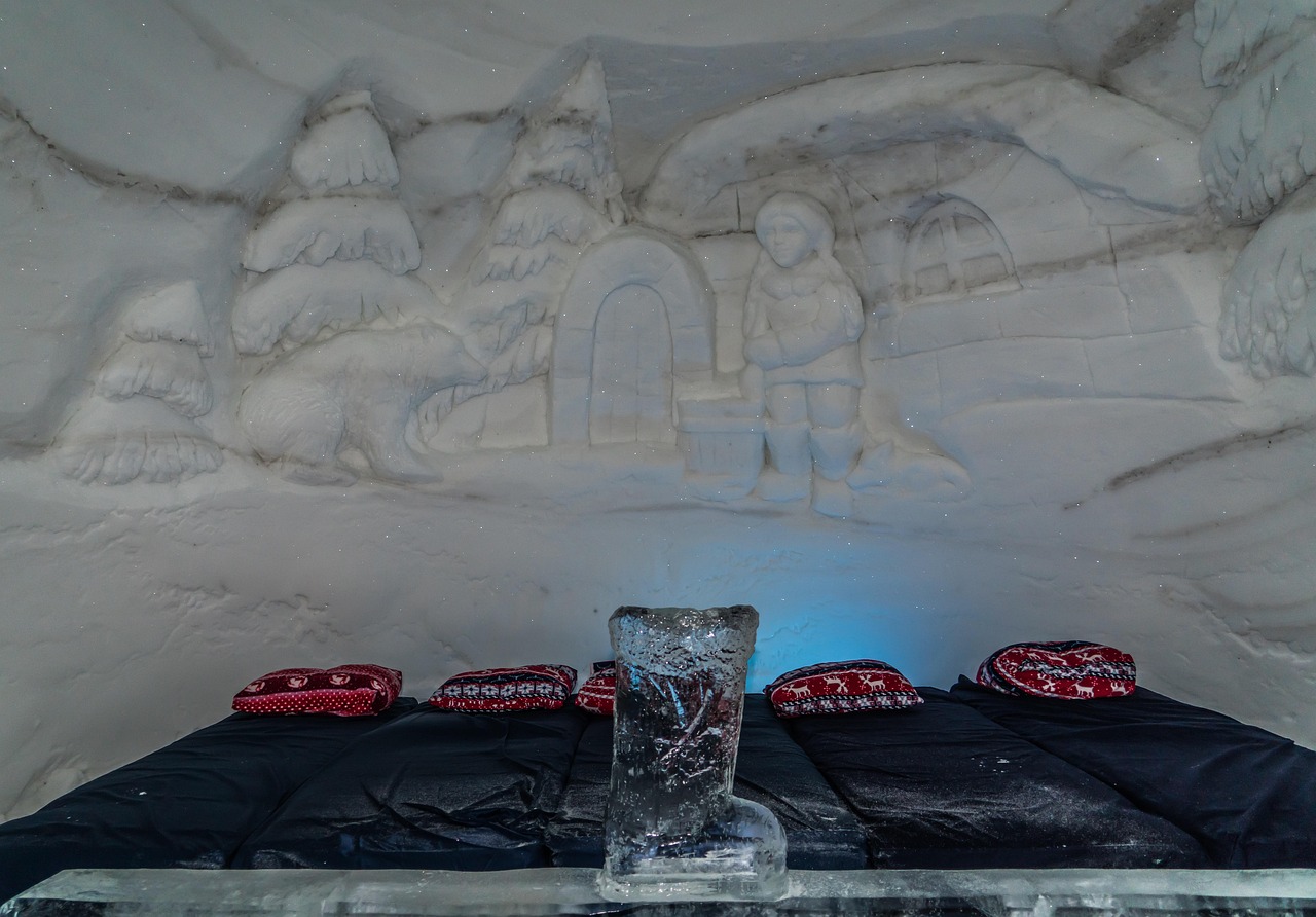 snowhotel camera hotel