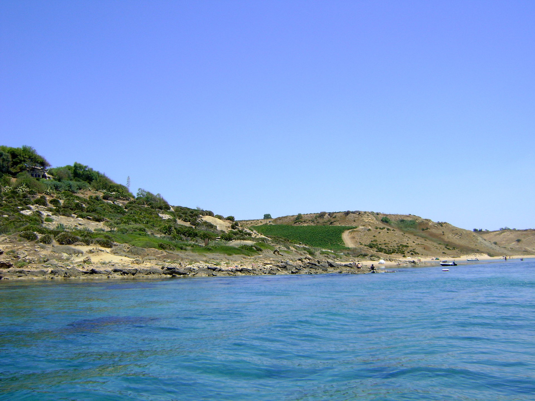 solettediportopalo vigneto
