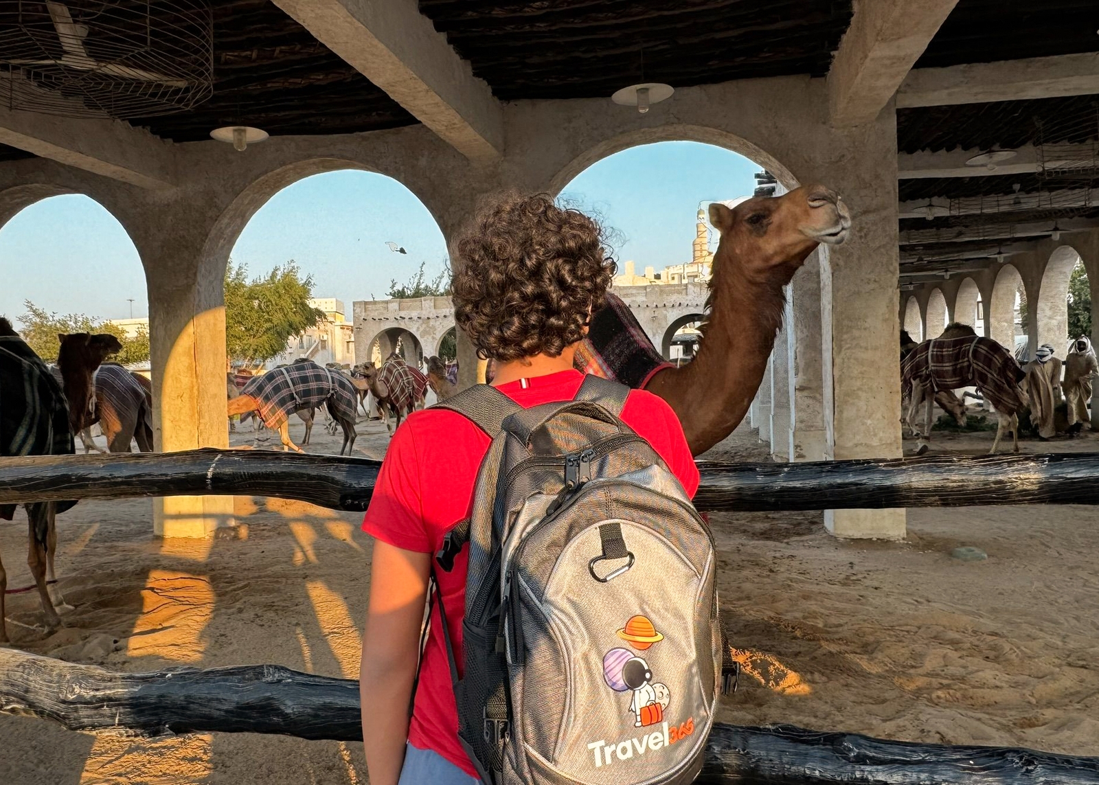 souq waqifcammelli