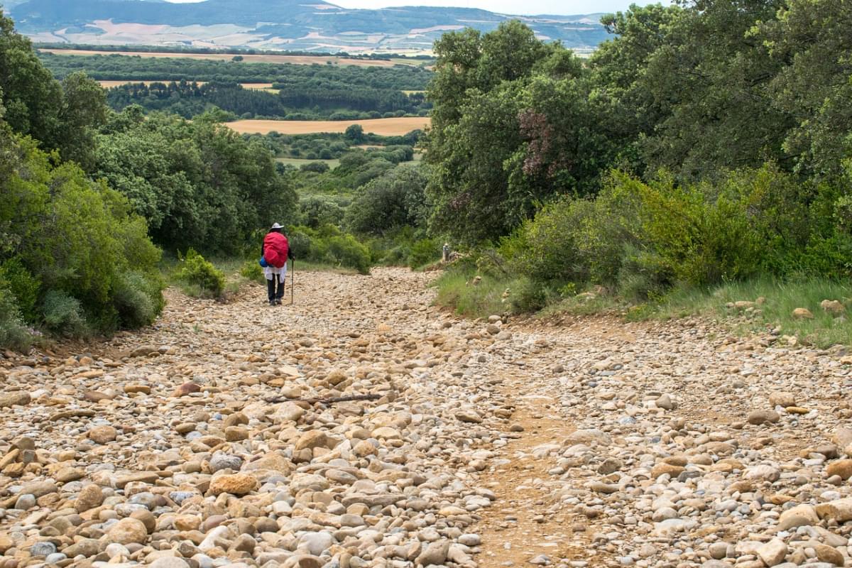 spagna cammino di santiago strada 1