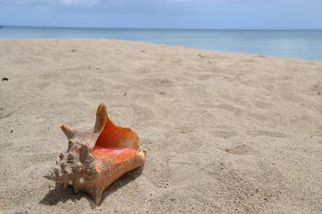 spiaggia 1