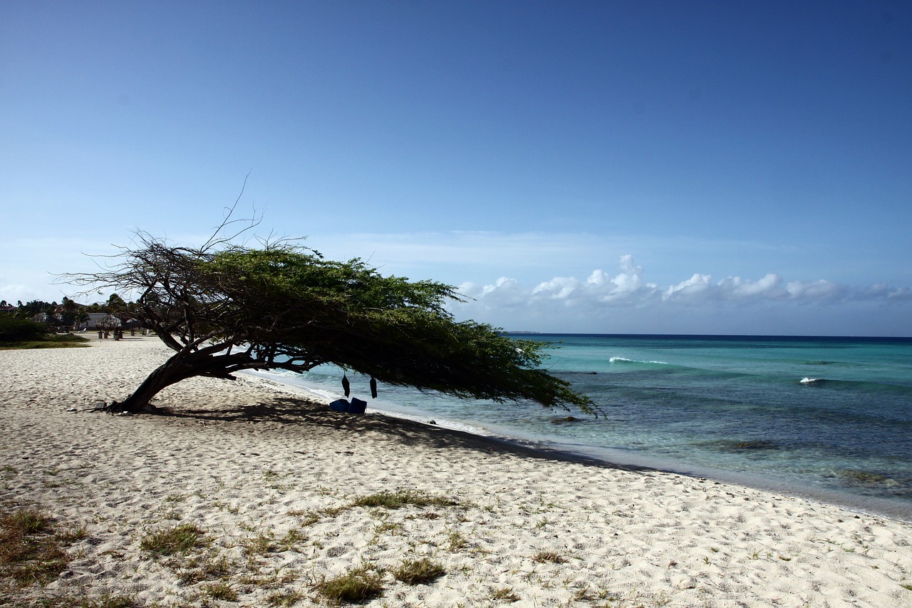 spiaggia aruba spiaggia di sabbia