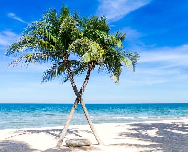 spiaggia caraibi