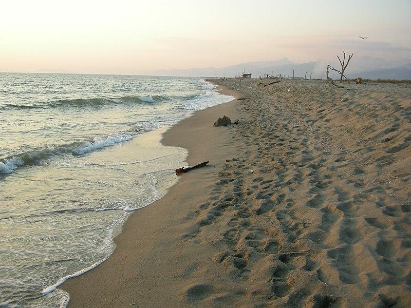 spiaggia della lecciona 02