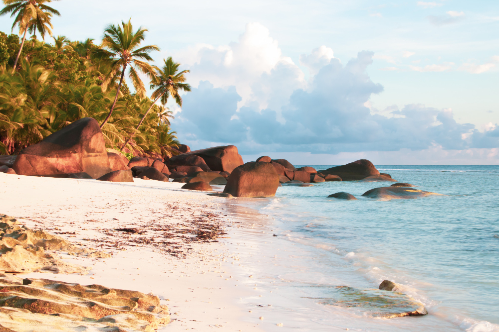 spiaggia delle seychelles silhouette island 1