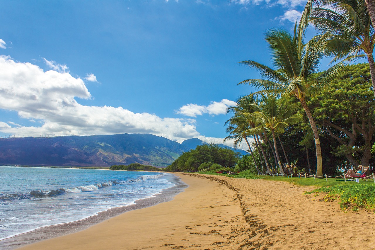 spiaggia paesaggio hawaii maui