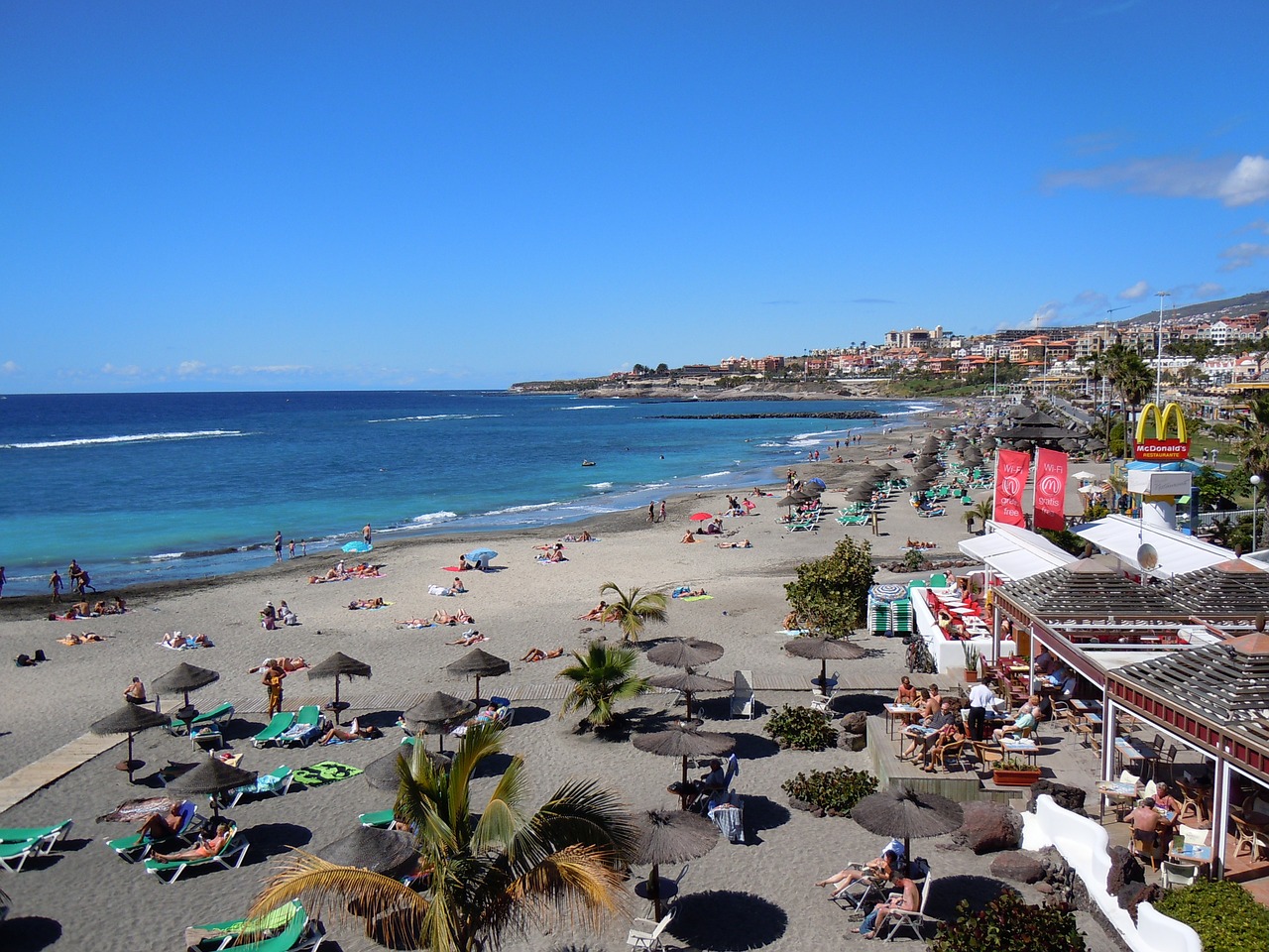 Tenerife mare