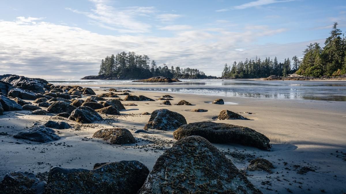 spiaggia tofino isola di vancouver