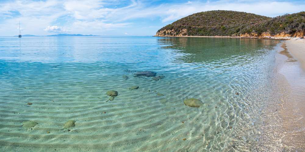 spiaggia vuota a cala violina toscana italia baia di sabbia nel parco naturale costa drammatica promontorio roccioso e foresta di pini mare mediterraneo turchese acqua trasparente