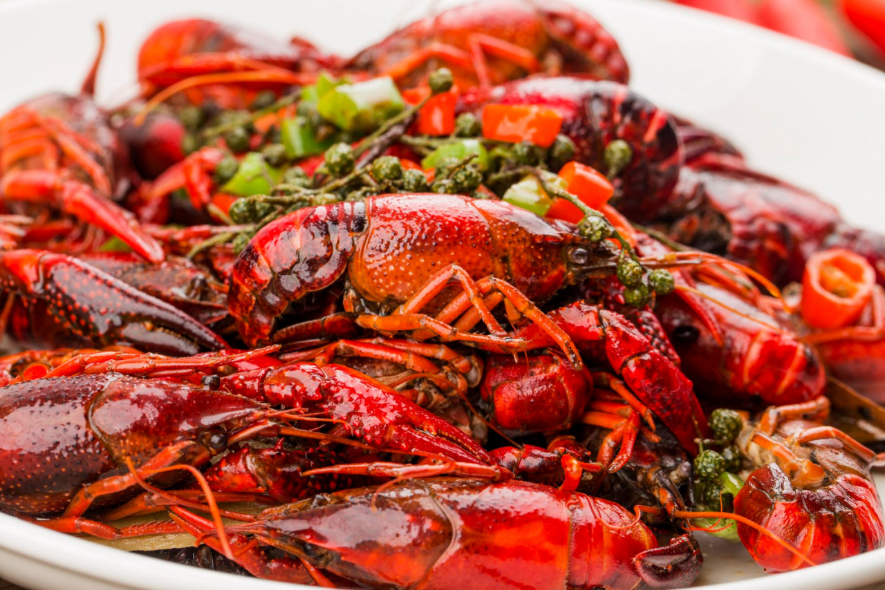 spicy crayfish crawfish food chinese food crustaceans red crayfish