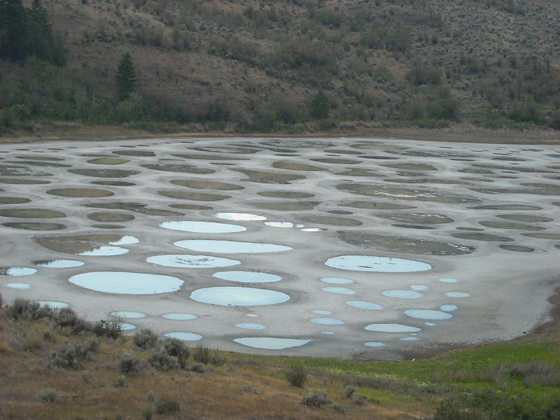 09 spotted lake in british columbia