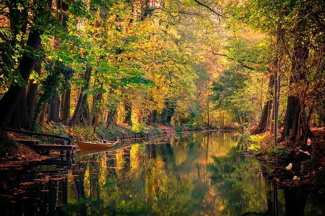 spreewald acqua canale paesaggio 1