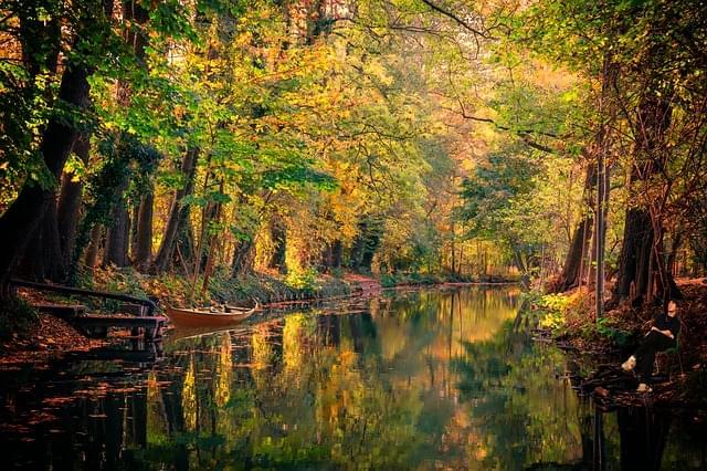 spreewald acqua canale paesaggio 1