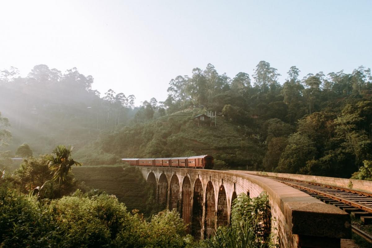 sri lanka foresta natura