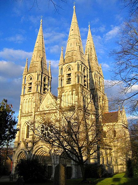 st fin barres cathedral cork