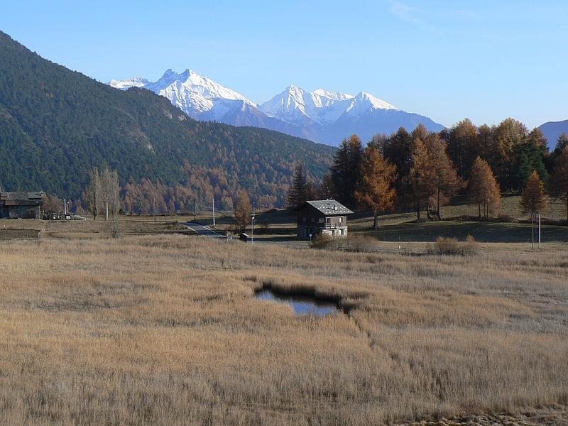 stagno di loson abc1