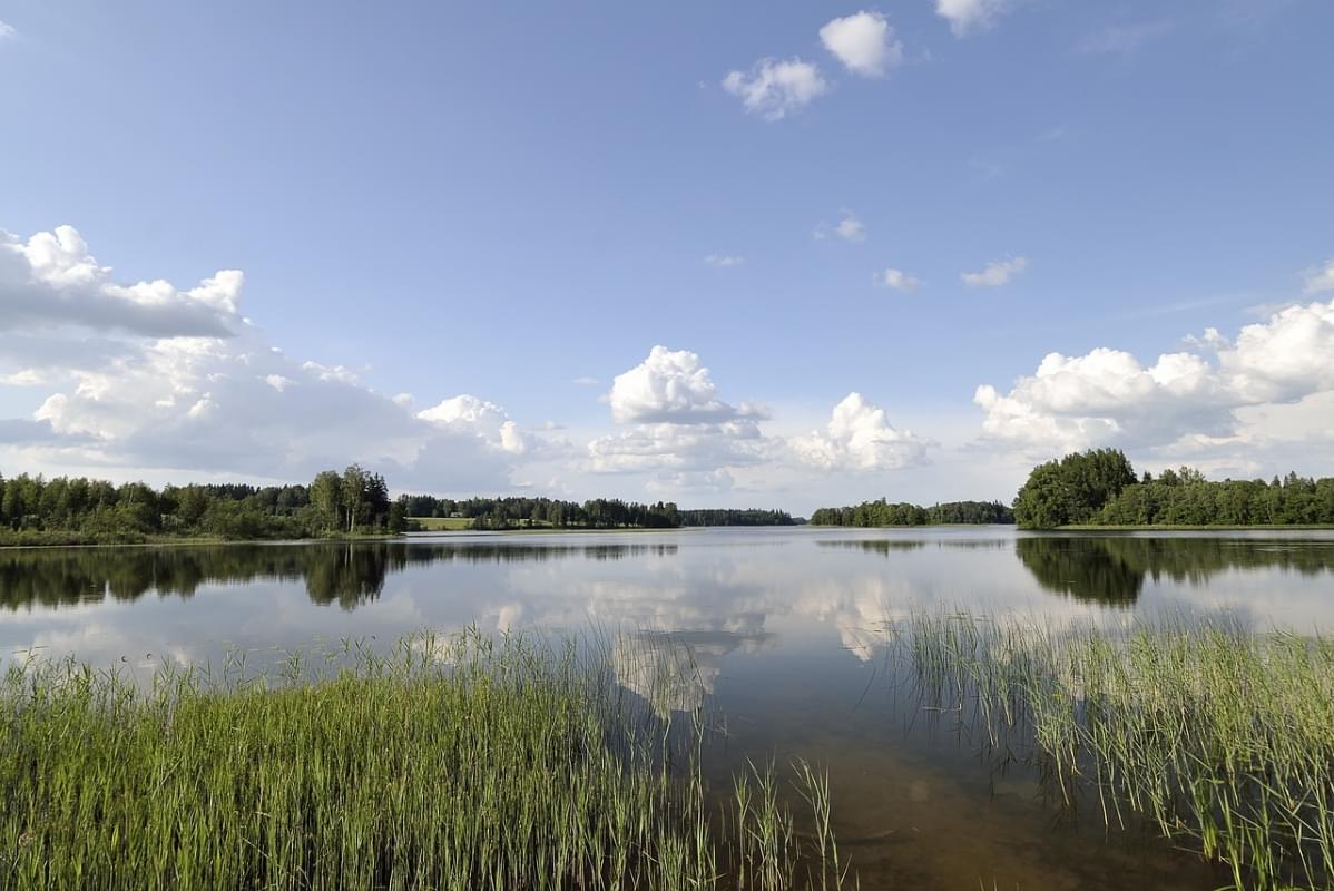 stati baltici estonia natura