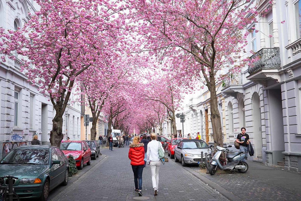 stb heestrasse 8