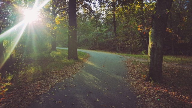 autunno a stoccolma