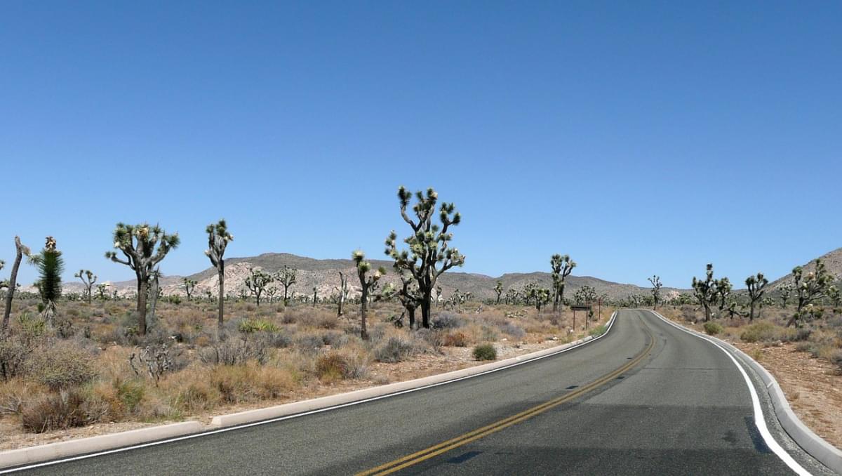 strada joshua tree