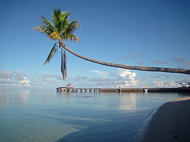 sulawesi isola
