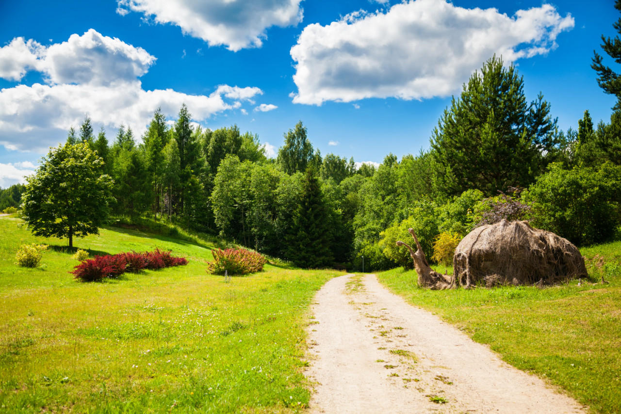 summer landscape vilnius botanical garden